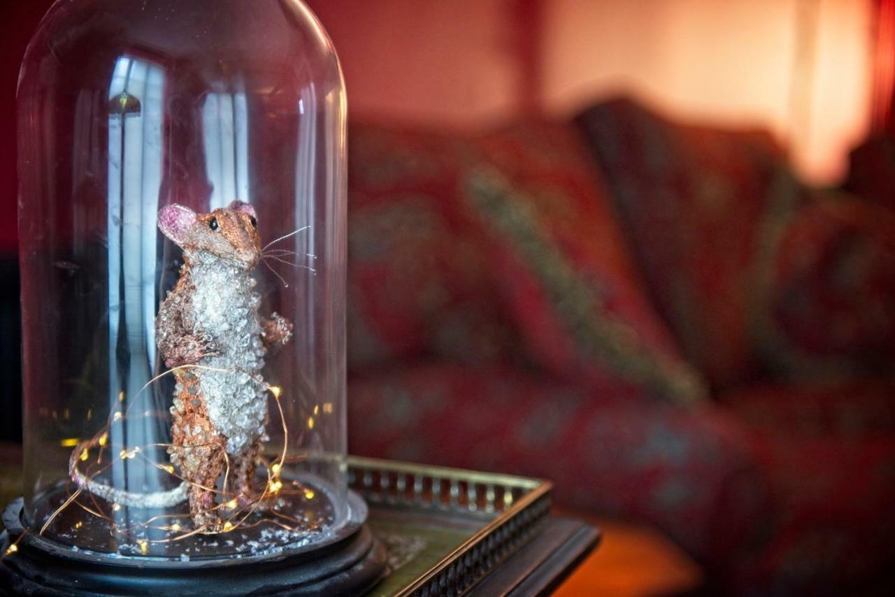 The Old Vicarage Hotel & Restaurant Bridgwater Exteriör bild A mouse in a bell jar